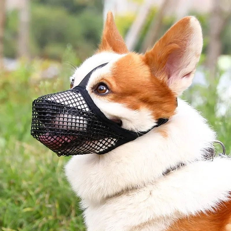 Breathable Mesh Dog Muzzle - Comfy Everyday Fit — product photo