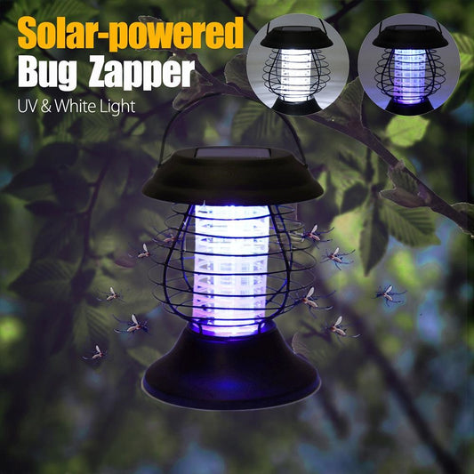 Solar Ground Stake Lawn Lights – Courtyard & Garden Set — product photo